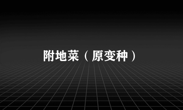附地菜（原变种）