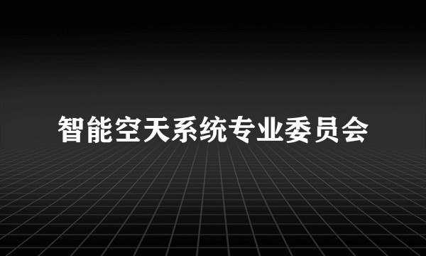 智能空天系统专业委员会