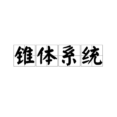 锥体系统