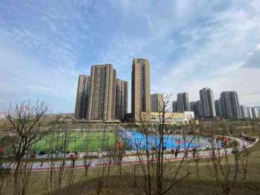 弹子石社区体育文化公园