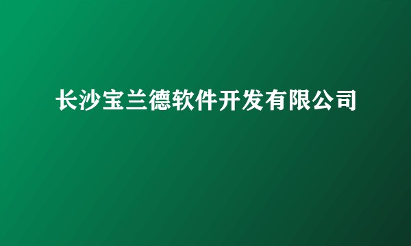 长沙宝兰德软件开发有限公司