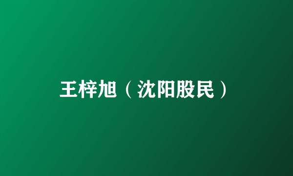 王梓旭（沈阳股民）