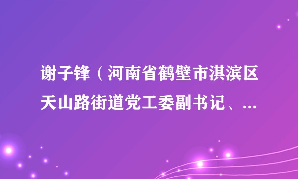 谢子锋(河南省鹤壁市淇滨区天山路街道党工委副书记、办事处主任)