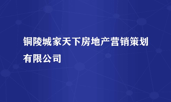 铜陵城家天下房地产营销策划有限公司