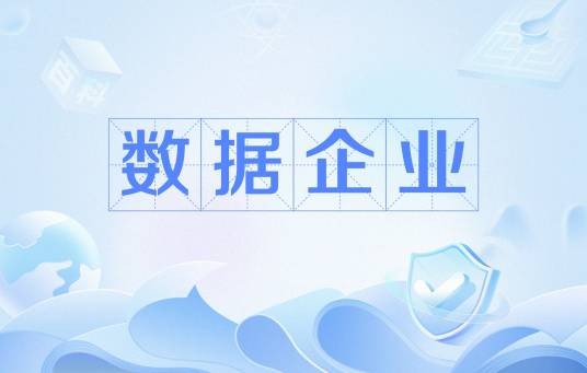 数据企业（数据产业的主体）