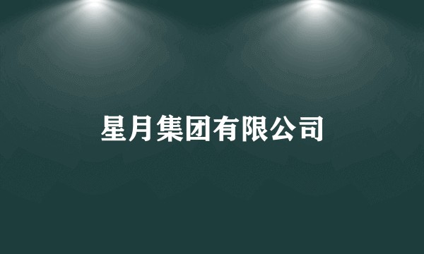 星月集团有限公司