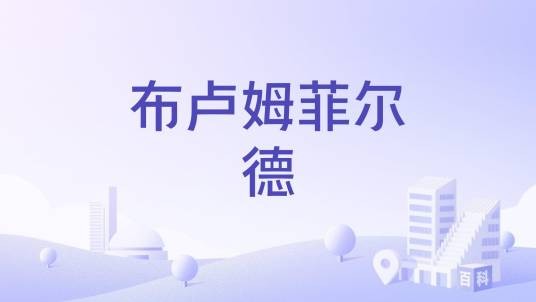 布卢姆菲尔德（美国新泽西州东北部市镇）