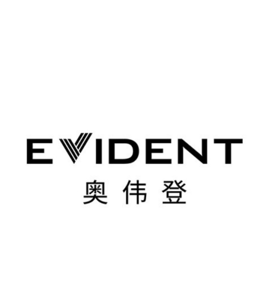 奥伟登