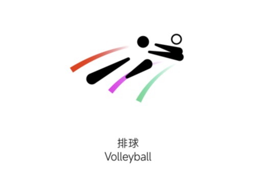 中华人民共和国第十五届运动会排球比赛