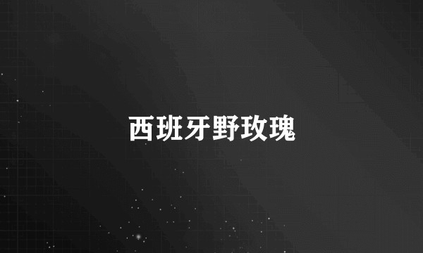 西班牙野玫瑰