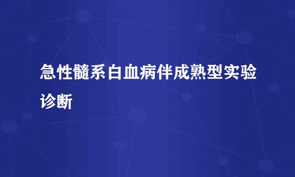急性髓系白血病伴成熟型实验诊断