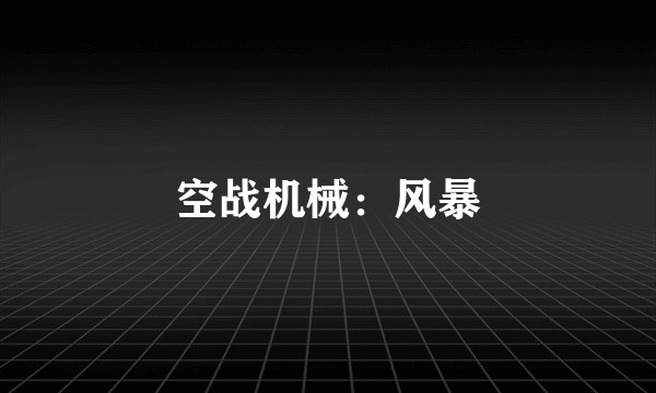 空战机械：风暴