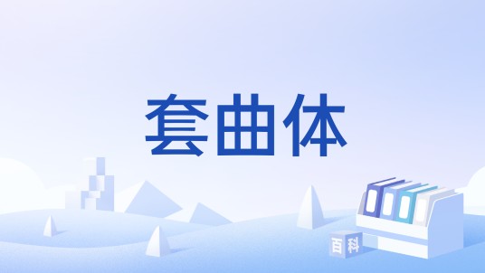 套曲体