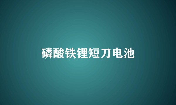 磷酸铁锂短刀电池