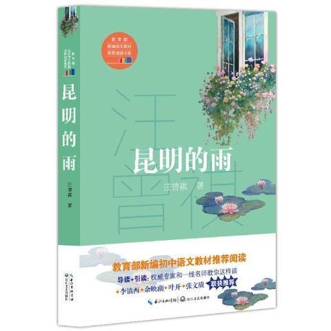 昆明的雨（2018年长江文艺出版社出版的图书）