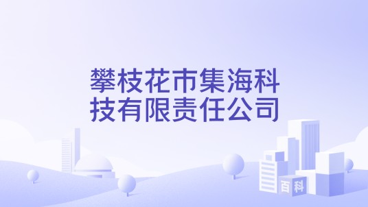 攀枝花市集海科技有限责任公司