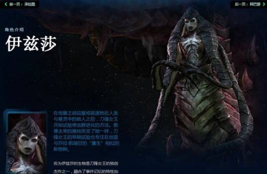 伊兹莎