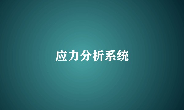 应力分析系统