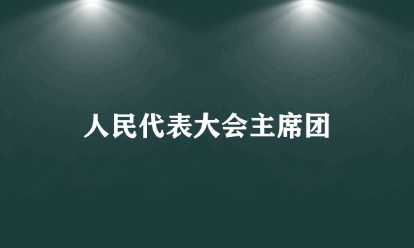 人民代表大会主席团