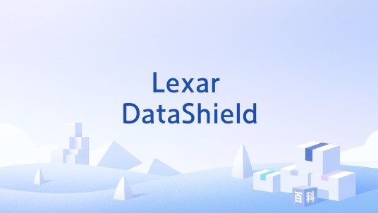 Lexar DataShield