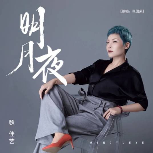 明月夜（魏佳艺演唱的歌曲）