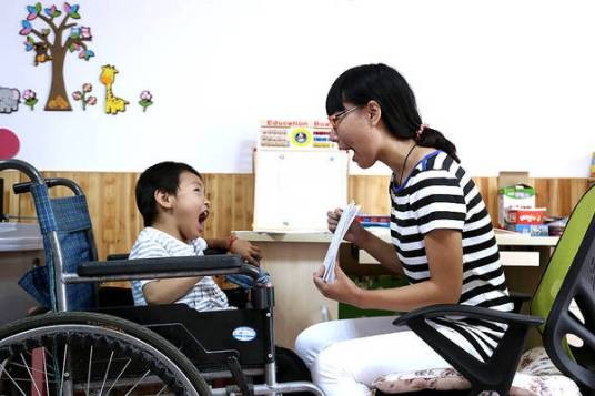 特殊教育巡回指导教师