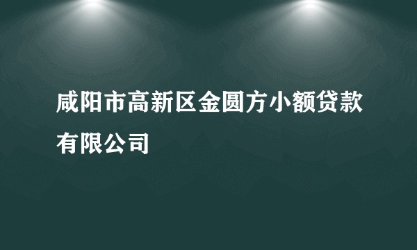 咸阳市高新区金圆方小额贷款有限公司