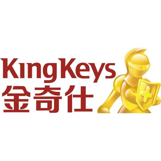 广州金奇仕贸易有限公司