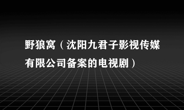 野狼窝（沈阳九君子影视传媒有限公司备案的电视剧）