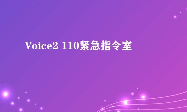 Voice2 110紧急指令室