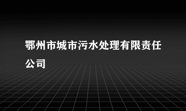 鄂州市城市污水处理有限责任公司