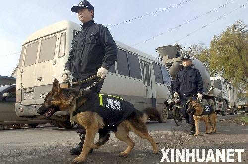 携犬巡逻机制