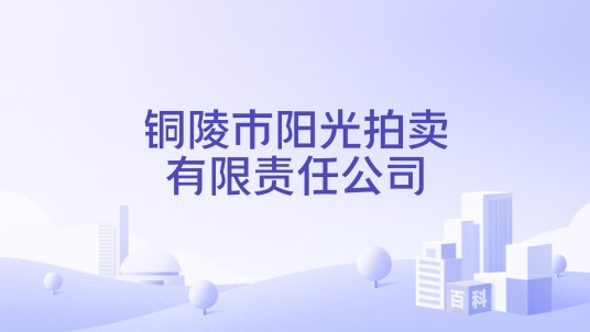 铜陵市阳光拍卖有限责任公司