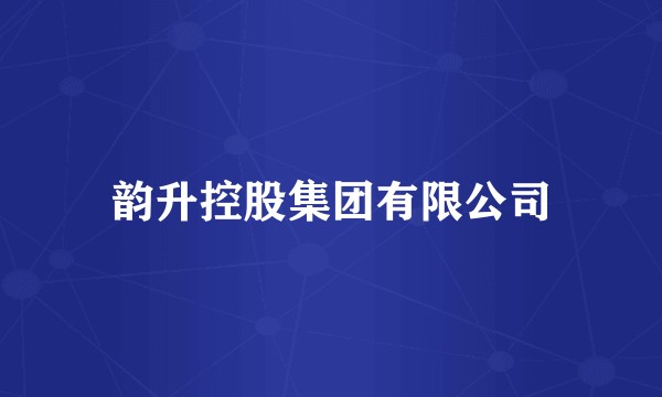 韵升控股集团有限公司