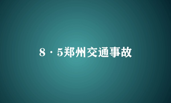 8·5郑州交通事故