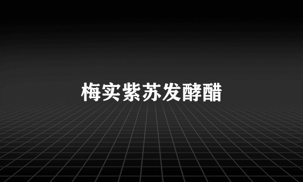 梅实紫苏发酵醋