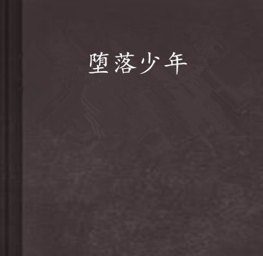 堕落少年