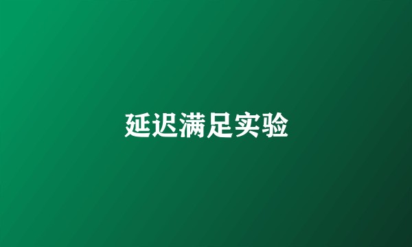 延迟满足实验