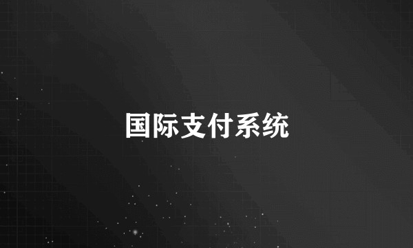 国际支付系统