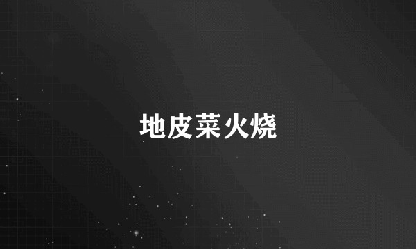 地皮菜火烧
