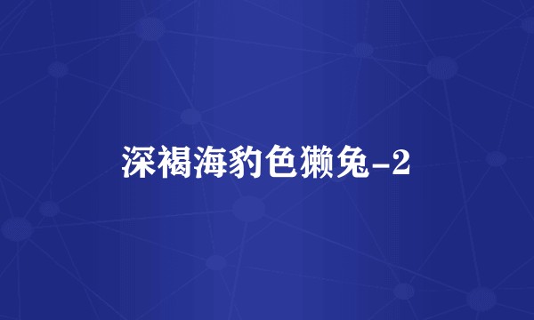 深褐海豹色獭兔-2