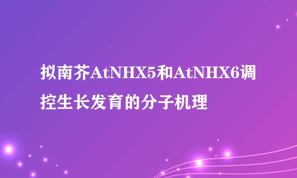 拟南芥AtNHX5和AtNHX6调控生长发育的分子机理