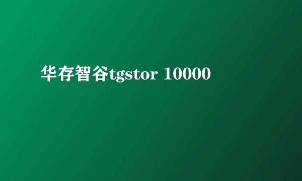 华存智谷tgstor 10000