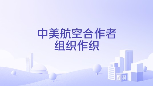 中美航空合作者组织作织