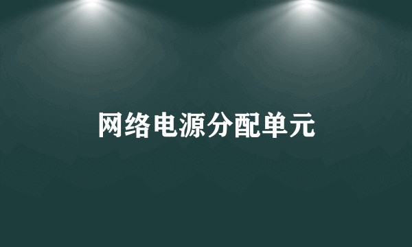 网络电源分配单元