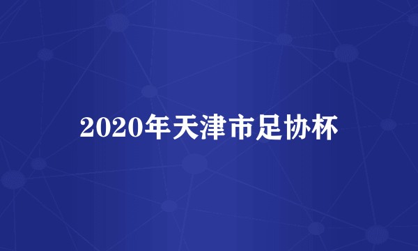 2020年天津市足协杯