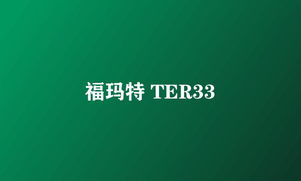 福玛特 TER33