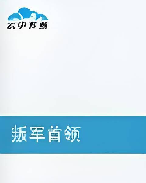 叛军首领