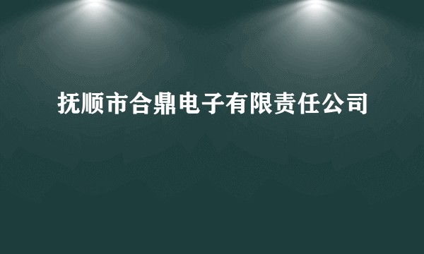 抚顺市合鼎电子有限责任公司