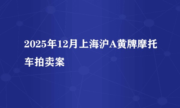 2025年12月上海沪A黄牌摩托车拍卖案